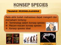 04 Konsep Species - Edit Dian2013