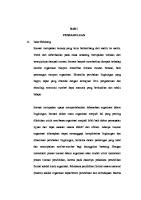 12 - Inovasi Dalam Organisasi - Sri Supriantoni [PDF]