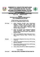 2.6.2 B SK Pelayanan UKM Di Puskesmas [PDF]