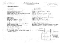 Agitator Design Calculation