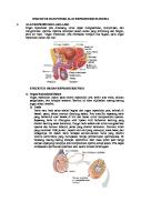 Alat Reproduksi Pria Dan Wanita [PDF]