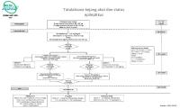 Algoritma Kejang Akut Dan Status Epileptikus