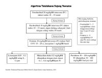 Algoritma Tatalaksana Kejang Neonatus [PDF]