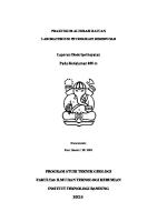 Alterasi Batuan Contoh Deskripsi Sayatan Batuan [PDF]