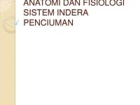 Anatomi Dan Fisiologi Sistem Indera Penciuman