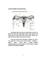 Anatomi Dan Fisiologi Sistem Reproduksi1