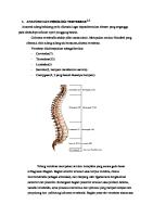 Anatomi Dan Fisiologi Vertebrae 1 [PDF]