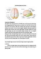 Anatomi Fisiologi Otak [PDF]