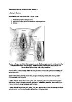 Anatomi Organ Reproduksi Wanita Fix