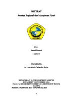 Anestesi Regional Dan Manajemen Nyeri [PDF]