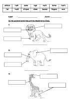 Animals Body Parts Exercise and Wordsearch [PDF]