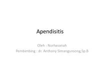 Apendisitis Slide