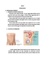 Askep Perbaikan Hernia Scrotalis