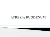 Atresia Duodenum