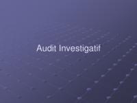 Audit Investigatif Paparan Ok [PDF]