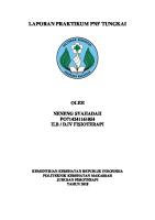 Bagi 'LAPORAN PRAKTIKUM PNF TUNGKAI-neneng Syahadah