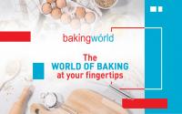 BAKING WORLD - Resep Chocolate Silky Pudding [PDF]