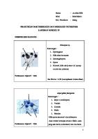 Bakteriologi Mikologi Veteriner Laporan Minggu 4