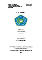 Batu Buli-Buli [PDF]