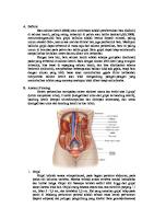 Batu Saluran Kemih (BSK) [PDF]