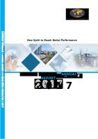 BCIP Annual Report 2017