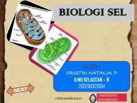 Biologi Sel PDF [PDF]