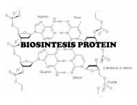 Biosintesis Protein Smngattt [PDF]