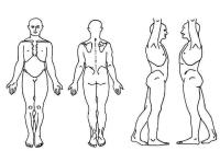 Body Chart PDF