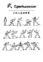 Book Martial Arts Kung Fu Cyberkwoon Shaolin Qixing Tanglang Quan