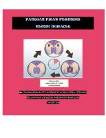 Booklet Pijat Perineum