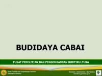 Budidaya Tanaman Cabai PDF [PDF]