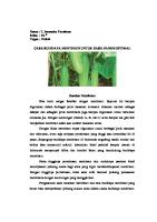 Budidayatan Tanaman Mentimun Dan Tomat [PDF]