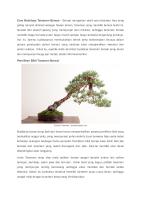 Cara Budidaya Tanaman Bonsai