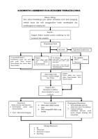 Contoh Algorhitma Assessmen Scoliosis [PDF]