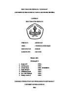 Contoh Laporan KKN [PDF]