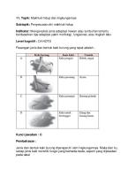 Contoh Soal c4 Hots Materi Adaptasi MH