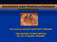 Diagnosis Dan Penatalaksanaan Chikungunya