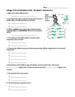 DNA Worksheet #2 PDF