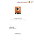 Draft Po PKB 2020 [PDF]