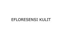 Efloresensi Kulit