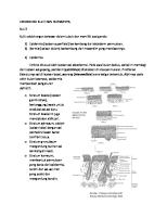 Embriologi Kulit Dan Derivatnya