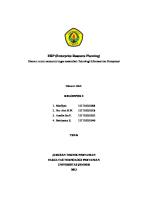 Erp [PDF]