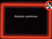 Farmakol Pankkreas