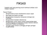 Fiksasi