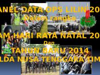 Final Panel Data Ops Lilin Turangga 2013 [PDF]