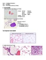 Fira - 412118046 - Anemia Aplastik, Hemolisis, Megaloblastik