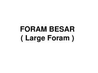 Foram Besar