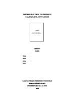 Format Tes Proyektif [PDF]