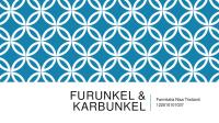 Furunkel & Karbunkel