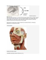 How To Draw Eyes [PDF]